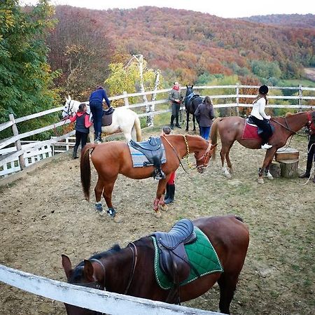 Country House Na Malenom Brijegu Bjelovar Ngoại thất bức ảnh