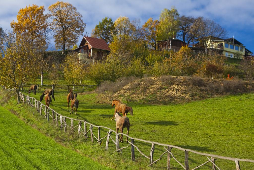 Country House Na Malenom Brijegu Bjelovar Phòng bức ảnh
