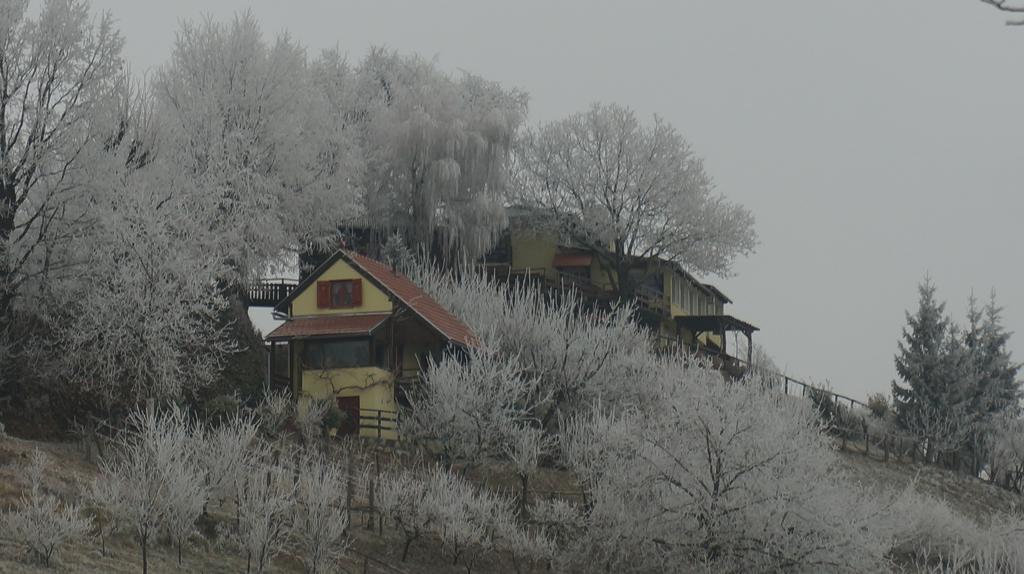 Country House Na Malenom Brijegu Bjelovar Ngoại thất bức ảnh